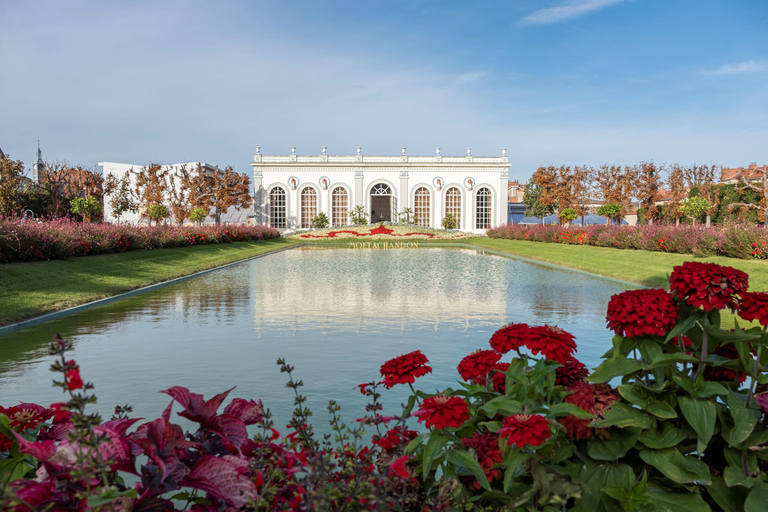 Tour di un giorno di Pommery per piccoli gruppiTour facile per piccoli gruppi dello Champagne