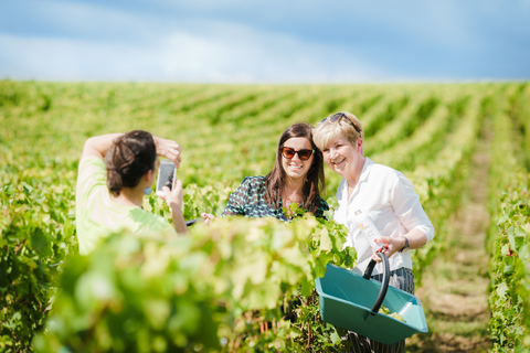 Tour di un giorno di Pommery per piccoli gruppiTour facile per piccoli gruppi dello Champagne