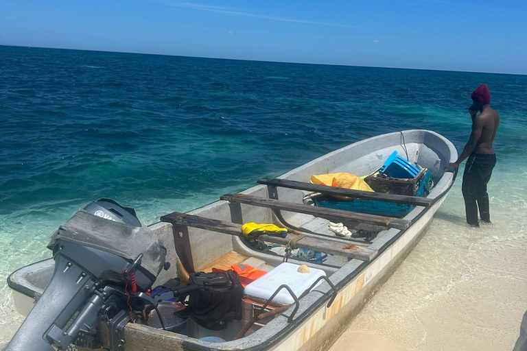 1 dia de mergulho com snorkel e natação com golfinhos em Zanzibar