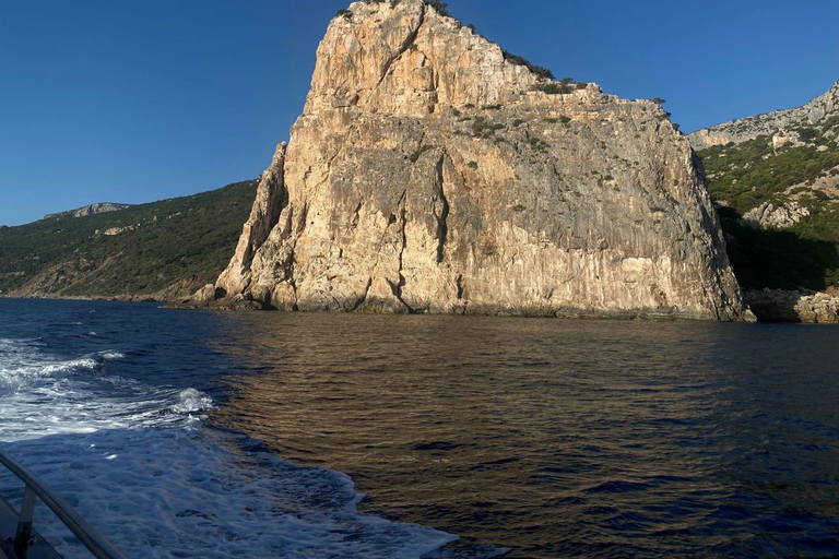 Arbatax: Baunei Coast Day Tour by Boat Arbatax: Boat tour day trip without lunch in Orosei Gulf