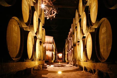 Private Van Tour Arrabida and Wine Tasting