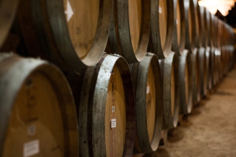 Private Van Tour Evora en Alentejo Wine Tasting