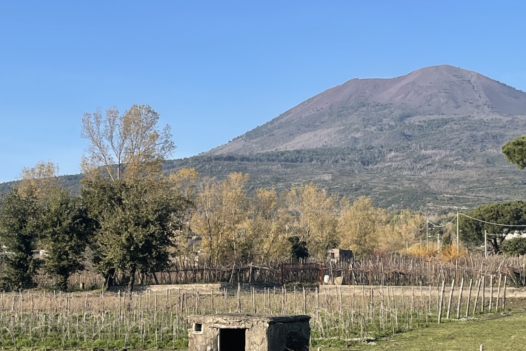 Pompéi et dégustation de vins depuis Sorrento