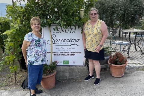 Pompéi et dégustation de vins depuis Sorrento
