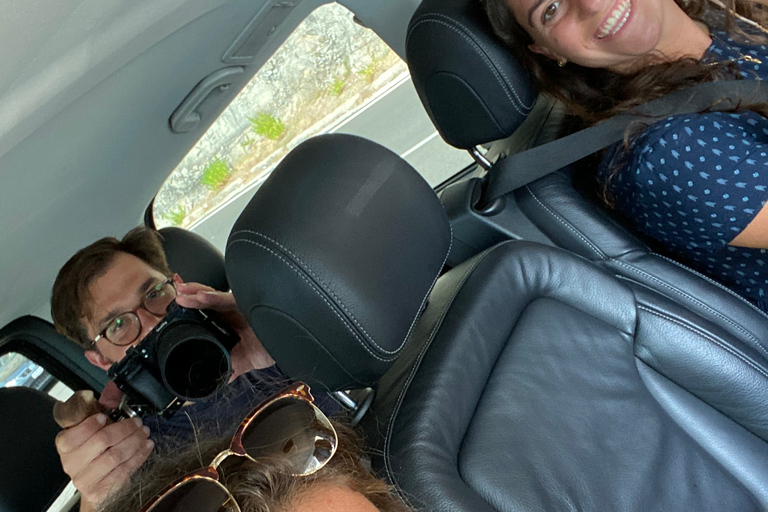From Positano: Sorrento & Pompeii Private Tour w/ Transfers