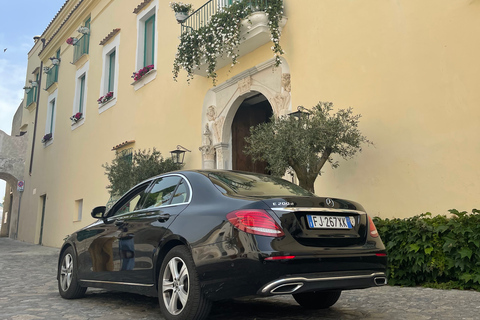From Positano: Sorrento & Pompeii Private Tour w/ Transfers