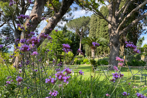 From Positano: Amalfi and Ravello Private Day Trip