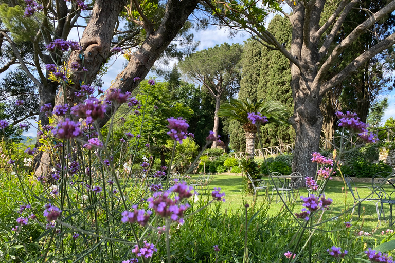 Private Tour: Amalfi & Ravello ab Positano