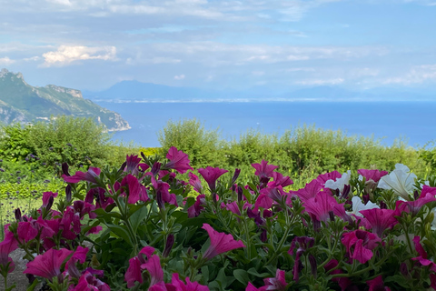 Från Positano: Amalfi och Ravello Privat dagsutflyktFrån Positano: privat dagsutflykt till Amalfi och Ravello