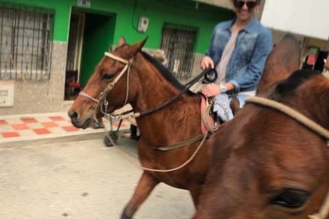 Medellín: auténtico paseo a caballo colombianoPaseo a caballo colombiano y recogida en Parque Lleras