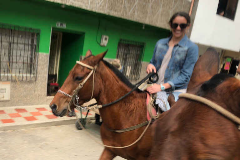 Medellín: auténtico paseo a caballo colombianoPaseo a caballo colombiano y recogida en Parque Lleras