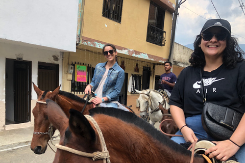 Medellín: auténtico paseo a caballo colombianoPaseo a caballo colombiano y recogida en Parque Lleras