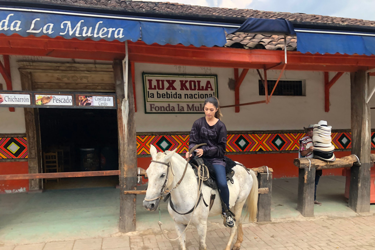 Medellín: auténtico paseo a caballo colombianoPaseo a caballo colombiano y recogida en Parque Lleras