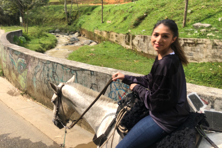 Medellín: auténtico paseo a caballo colombianoPaseo a caballo colombiano y recogida en Parque Lleras