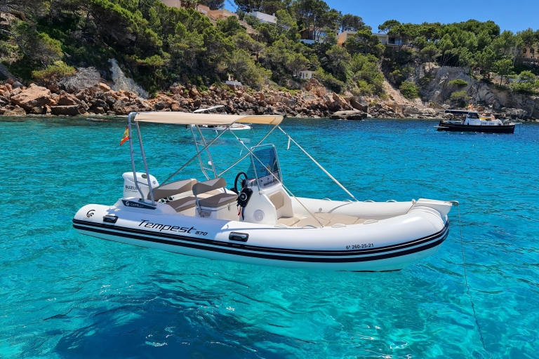 Boat rental WITH LICENSE in Mallorca "Santa Ponsa"