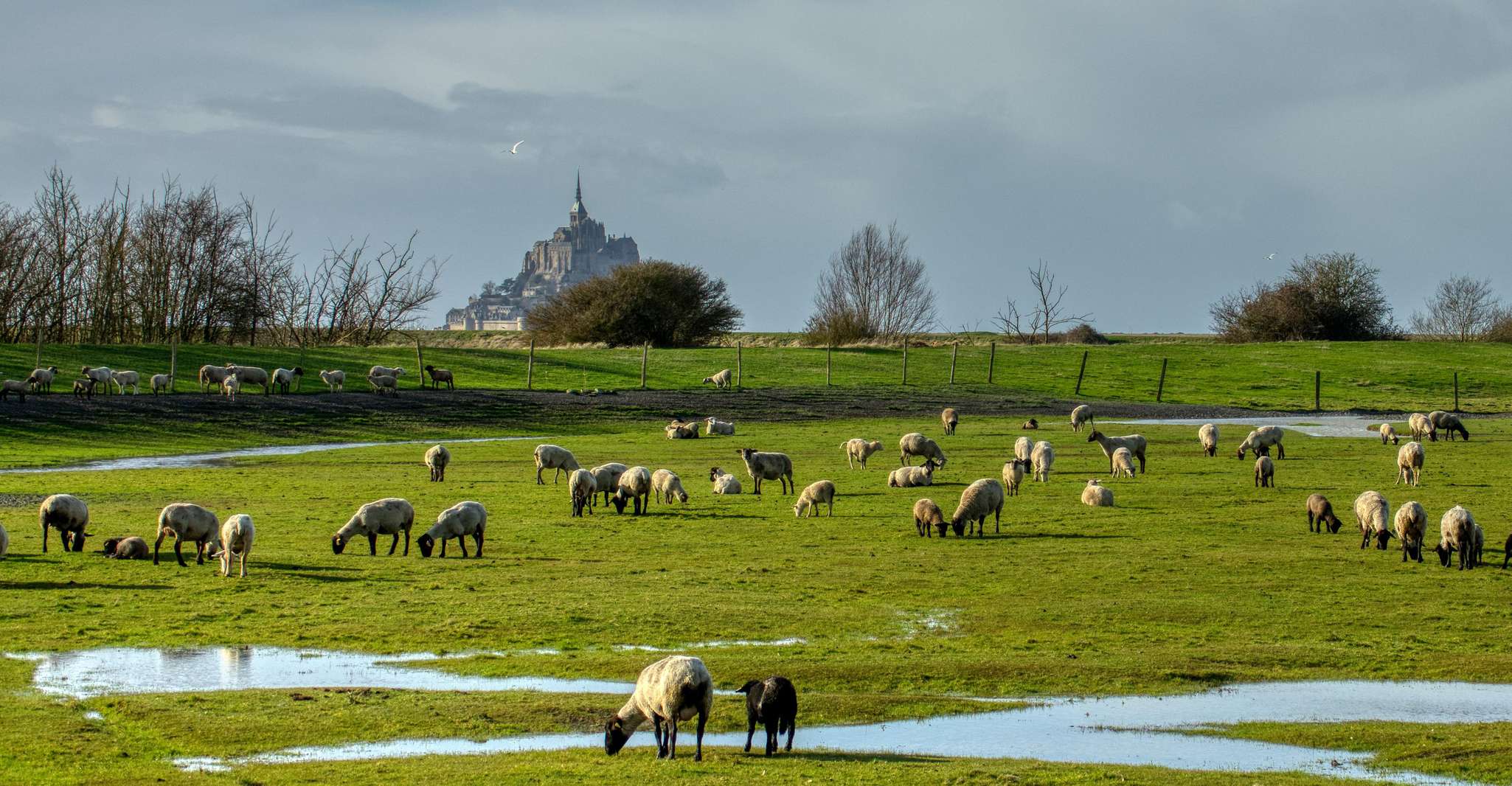 From Bayeux, Full Day Guided Tour to Mont Saint Michel - Housity