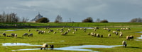 从Bayeux，全天导游到蒙特·米歇尔 - Housity