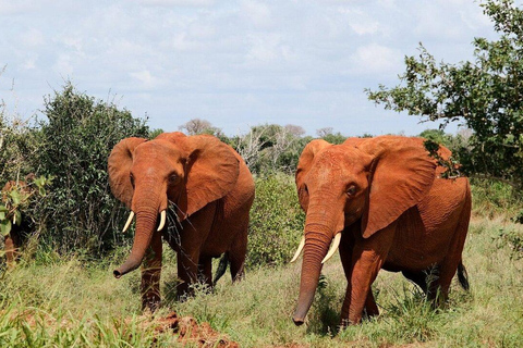 Nairobi: Amboseli & Tsavo East 2-Day Safari with Guide