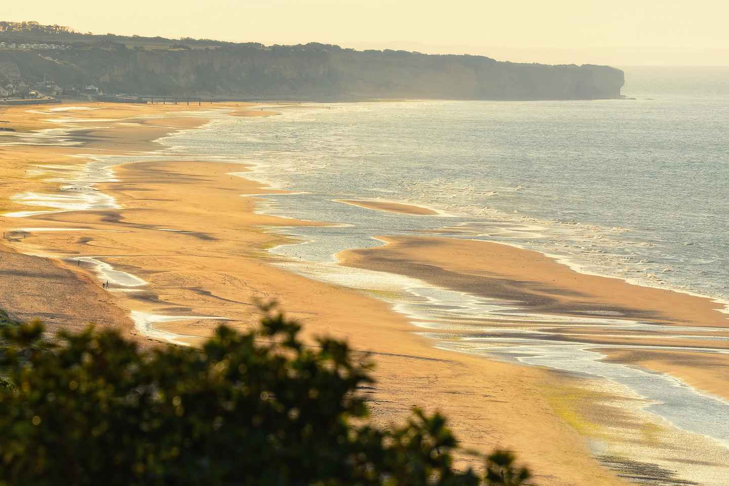 バイユー：バンドオブブラザーズ完全日帰りツアー