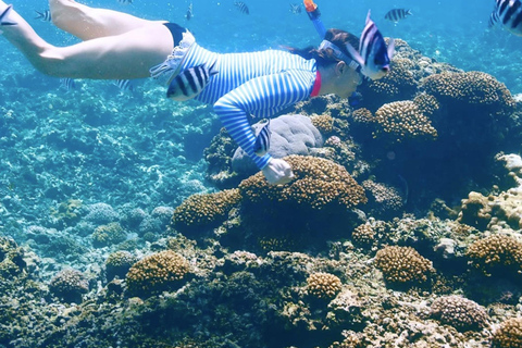 Cartagena: Rosario Oceanarium, Snorkel & Swim with Dolphins Cartagena: Rosario Islands Tour with Oceanarium & Snorkeling