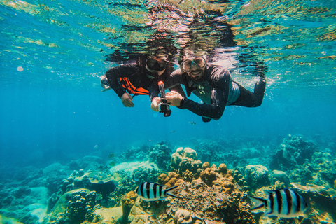 Koh Samui: Koh Tao and Nangyuan Snorkeling Tour with Lunch