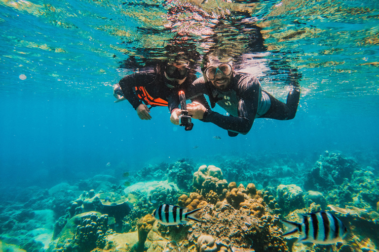 Koh Samui: Koh Tao and Nangyuan Snorkeling Tour with Lunch