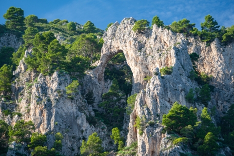 Sorrento: Excursión en barco a Capri en el Bocio Sorrentino