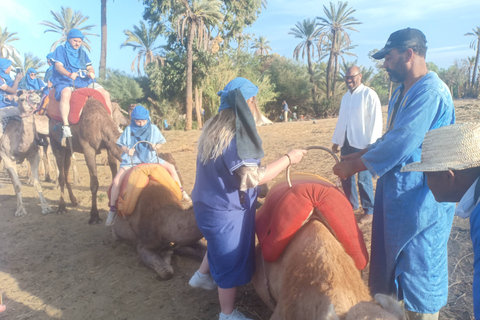 Camel Ride Tour in the Palm Grove of Marrakech