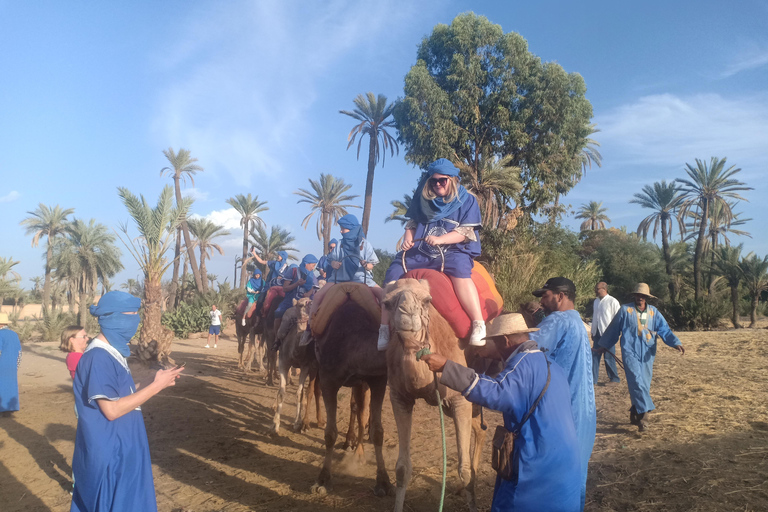 Camel Ride Tour in the Palm Grove of Marrakech