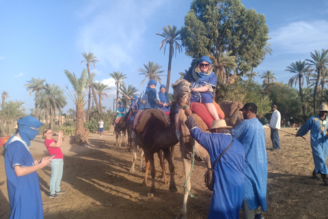 Camel Ride Tour in the Palm Grove of Marrakech