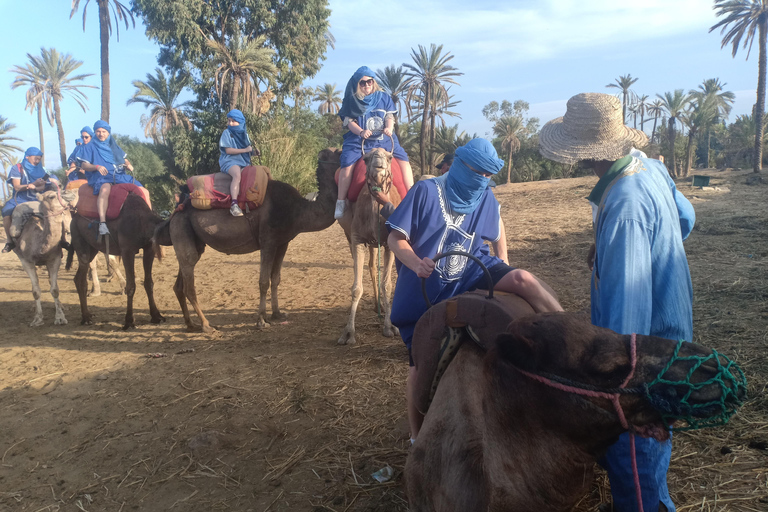 Camel Ride Tour in the Palm Grove of Marrakech