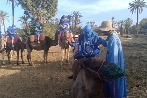 Camel Ride Tour in the Palm Grove of Marrakech