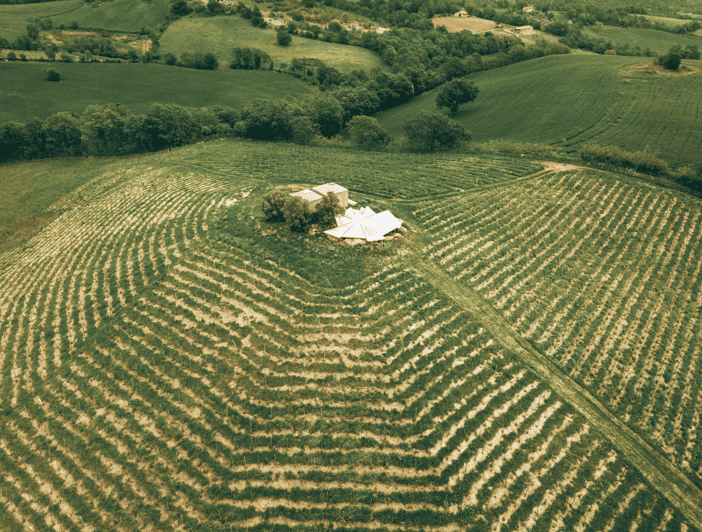 Saturnia: Fattoria La Maliosa Winery Picnic at Sunset Ticket | GetYourGuide