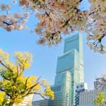 Osaka: Biglietto elettronico per l'Osservatorio Abeno Harukas 300