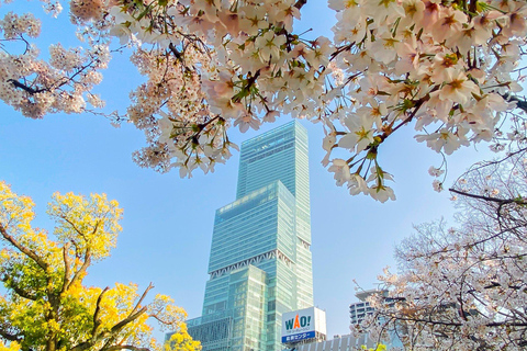 Osaka: Abeno Harukas 300 Observatorium e-ticketLokaal toegangsticket - HARUKAS 300 (observatiedek)