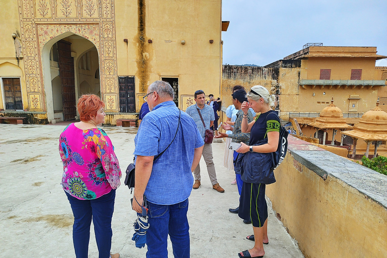 Ab Delhi: Ganztägige private Besichtigungstour von Jaipur