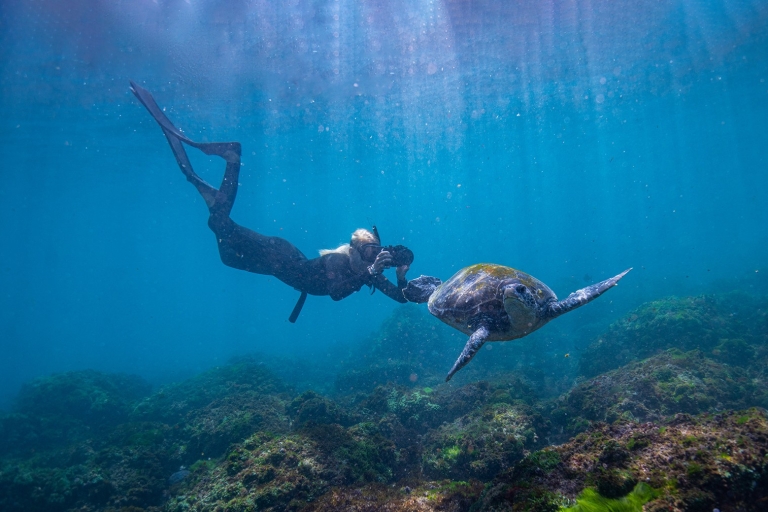Costa Dorada: Excursión de medio día de snorkel con tortugas