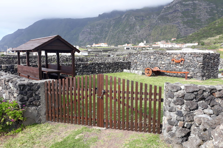 Flower Island: Van Tour
