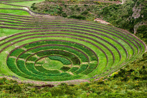 Transporte Valle Sagrado + Maras , Moray |Día Completo|