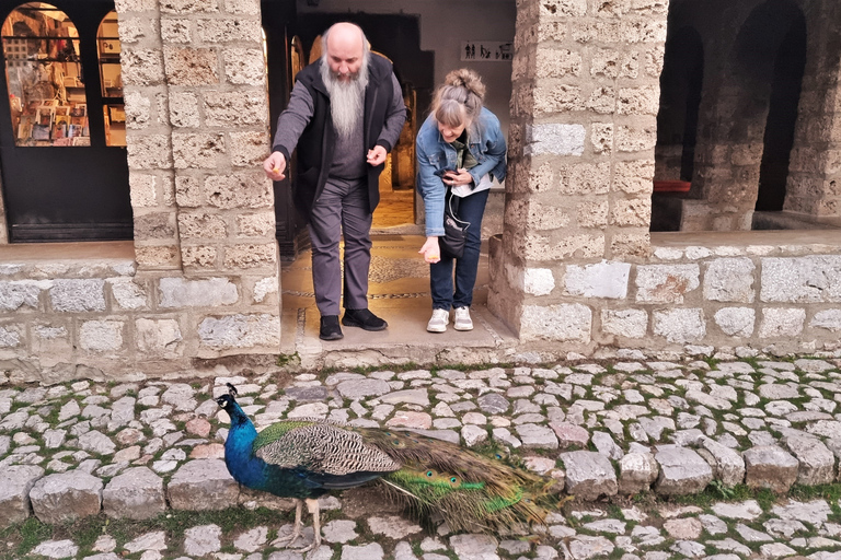 Da Tirana: tour della Macedonia del Nord, del lago di Ohrid e di Saint Naum