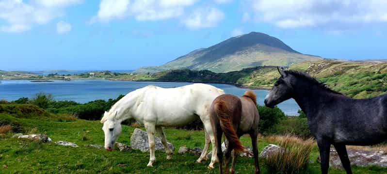 Kylemore, Connemara & Wild Atlantic Way Private Day Tour | GetYourGuide