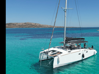 Stintino: full day tour catamaran Asinara Island