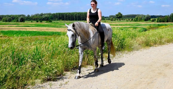 Ibiza: 1-Hour Scenic Horseback Riding Experience