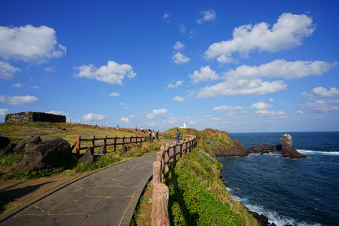 Île de Jeju : Journée complète de visite guidée en voiture privée personnalisableVisite en Combi Van (jusqu&#039;à 13 personnes)