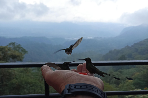 Quito: Private Full Day Tour with Flexible Destinations