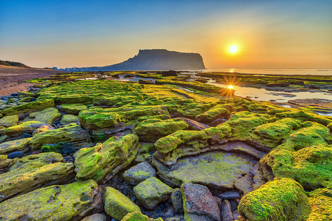 Isla de Jeju: Excursión Privada Guiada en Coche de Día Completo PersonalizableExcursión en furgoneta (hasta 7 personas)