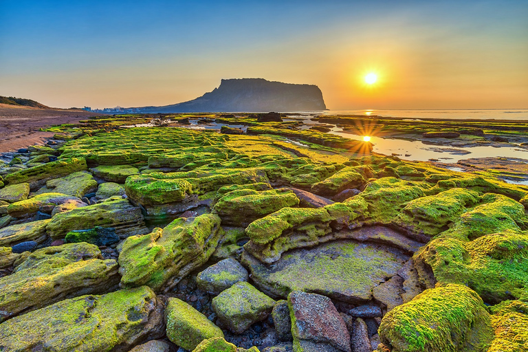 Die Insel Jeju: Ganztägige anpassbare private geführte AutotourTour mit dem Van (bis zu 7 Personen)