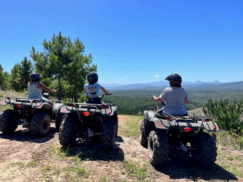 Knysna Guided Quad Bike Tour in the Forest GetYourGuide