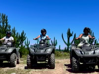 Knysna, geführte Quad -Bike -Tour im Wald - Housity