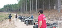 Knysna, geführte Quad -Bike -Tour im Wald - Housity